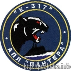 АПЛ Пантера К-317