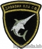 Дивизия ПЛА СФ